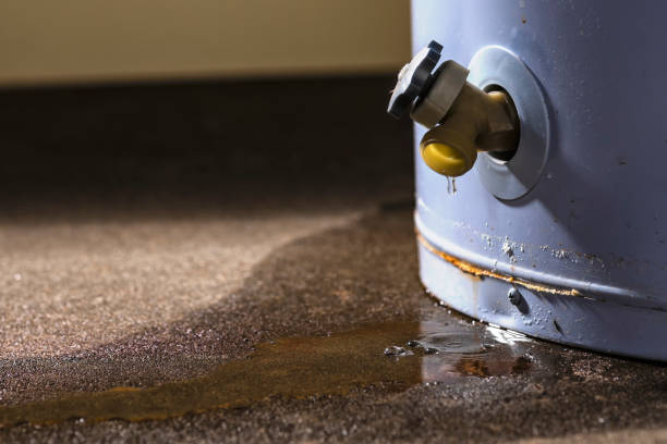 Reliable New Lebanon, OH Water damage restoration Solutions