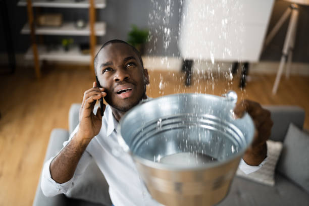 Best Water damage restoration experts  in New Lebanon, OH