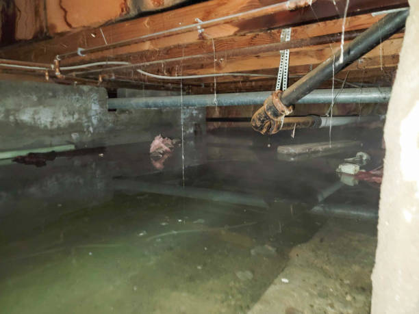 Best Fire Damage Restoration  in New Lebanon, OH