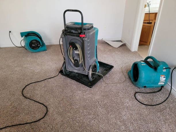 Reliable New Lebanon, OH Water damage restoration Solutions