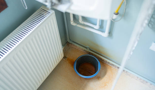 Best Flood damage cleanup  in New Lebanon, OH