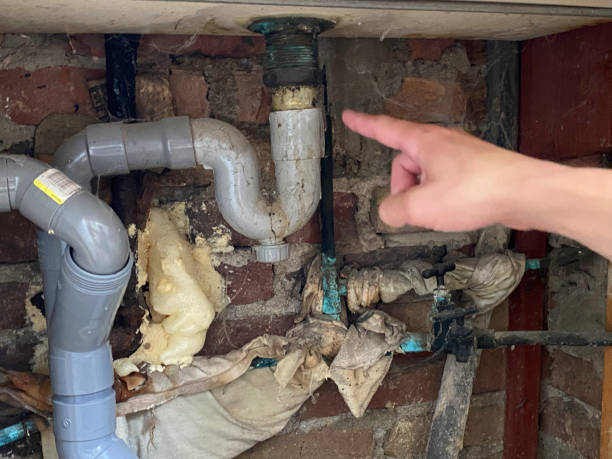 Best Fire Damage Restoration  in New Lebanon, OH
