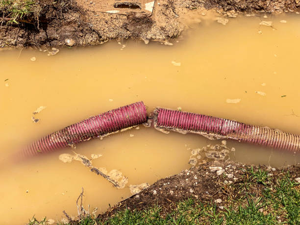  New Lebanon, OH Water damage restoration Pros